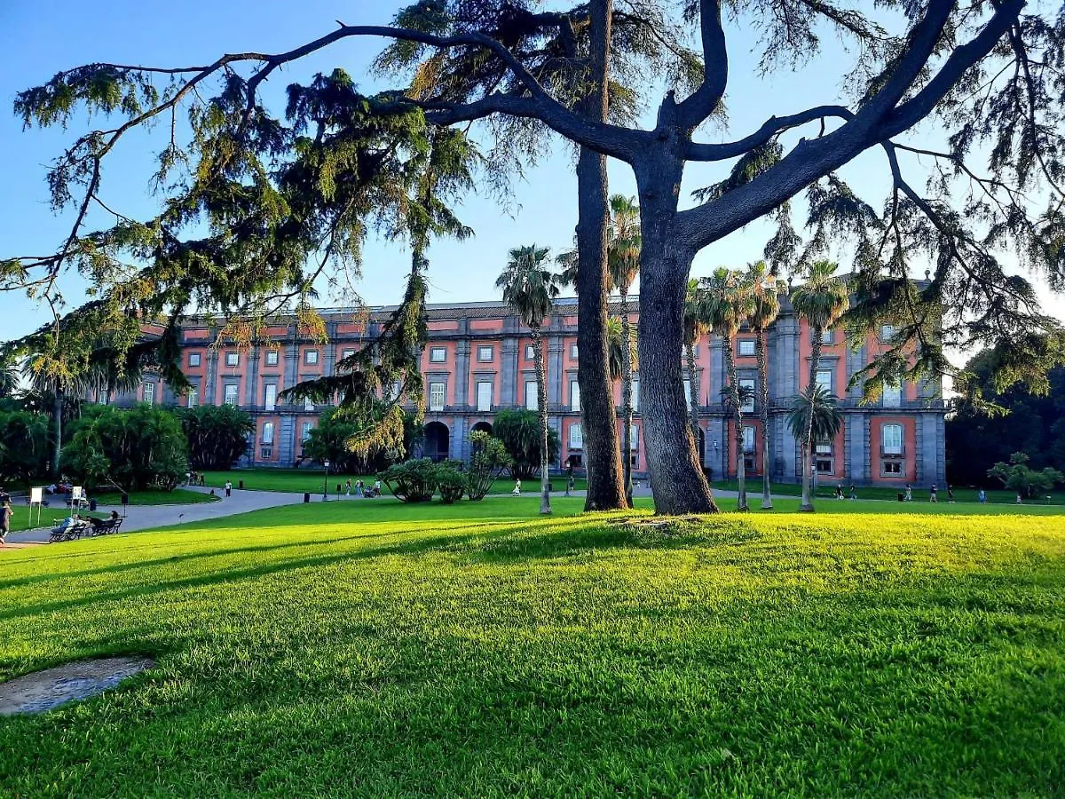 Capodimonte Home Napoli